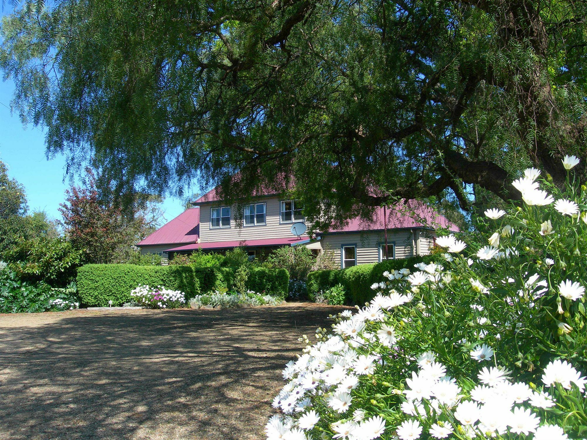 Redcliffe House Colonial Bed & Breakfast Суонси Екстериор снимка